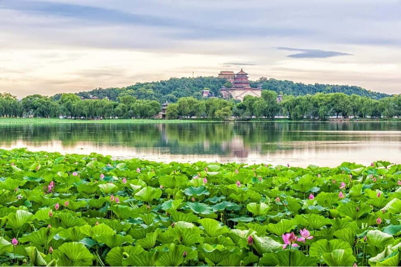 Beijing: Chinese Culture Tea Ceremony Reservation Service - The ceremony, step by step: what you’ll actually do