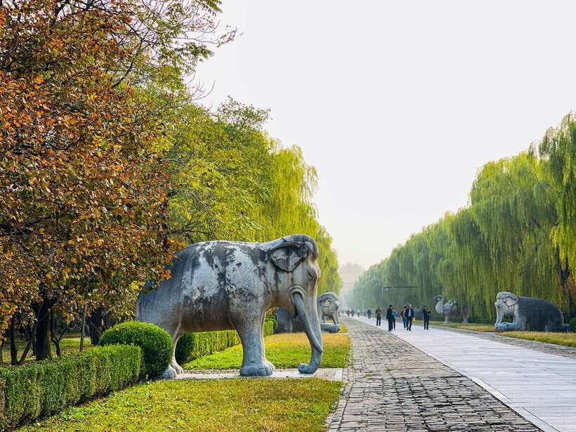 Beijing: Great Wall of China and Ming Tomb Private Tour - The Great Wall Hike Plan: Time on the Wall, Not Waiting Around