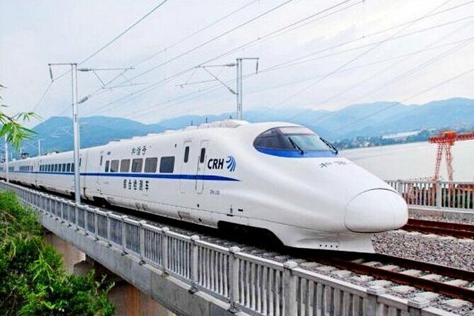 Beijing Great Wall Private Day Tour from Shanghai by Bullet Train - Your guide isn’t just storytelling, it’s timing and meaning