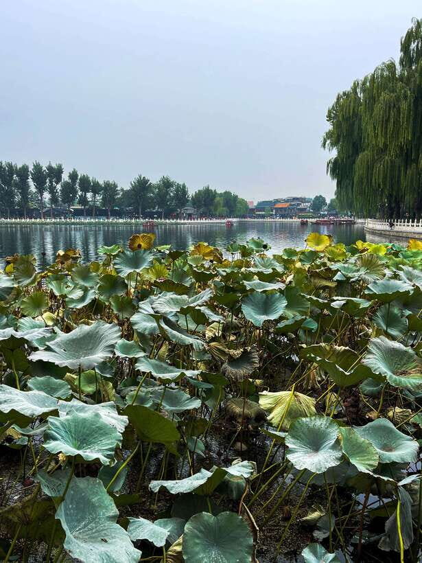 Beijing: Hutongs & Drum Tower City Walking Tour - Who should book, and who might want a different day plan