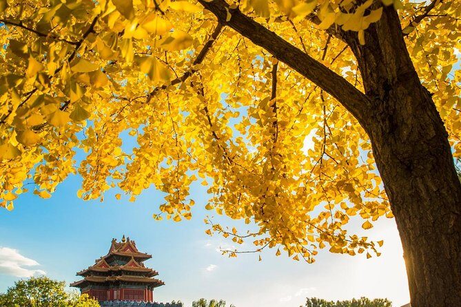 Beijing Layover Tour to Tiananmen Square and Forbidden City - What’s Included (and What’s Not) in Your $180