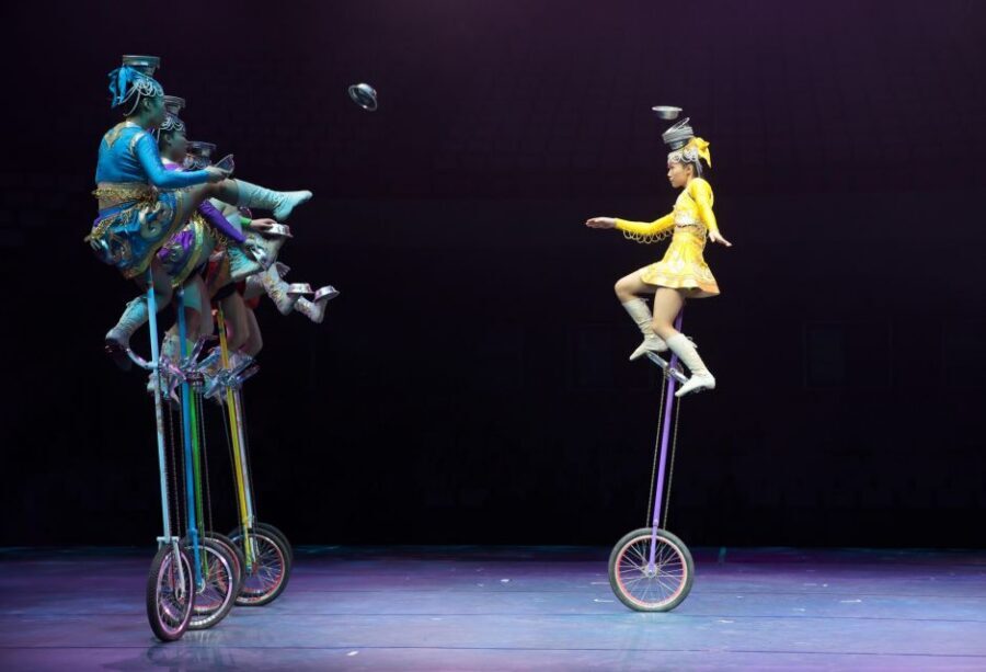 Beijing Night Tour with Acrobatics Show & PekingDuck Dinner - Who Should Book This Night Tour (and Who Might Skip It)