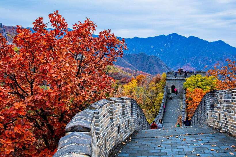 Beijing: Panda House w/Great Wall or City Sites Private Tour - Tian’anmen Square and the Forbidden City option: fast-track security, then 10,000-room scale