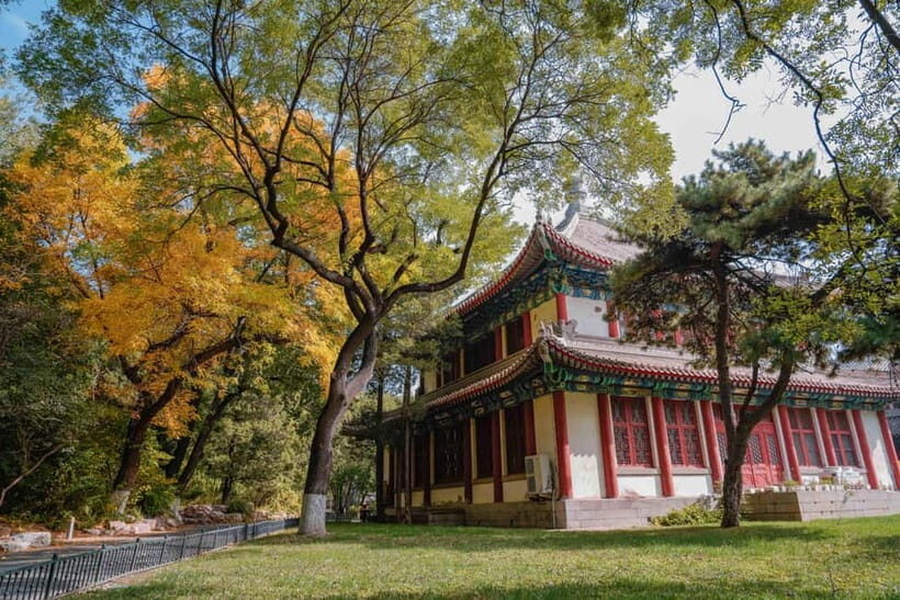 Beijing: Peking University Campus Guided Walking Tour - A guide like Henry makes it easy (and family-friendly)