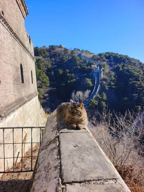 Beijing: Private Guide Tour to Tian'anmen and Forbidden City - FAQ