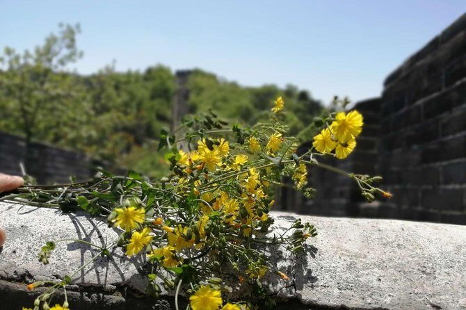 Beijing Private Transfer: Badaling Great Wall with VIP Past Pass - Price and what you’re paying for: value math that’s actually useful