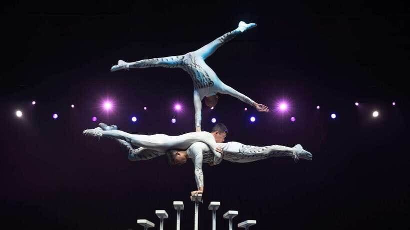Beijing: Red Theatre Acrobatics Show Ticket-Local Must-See - Why This Show Is a Great Shortcut to Local Culture