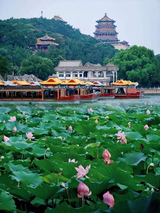 Beijing: Summer Palace Entry Ticket - Summer Palace in 3 hours: how much ground fits