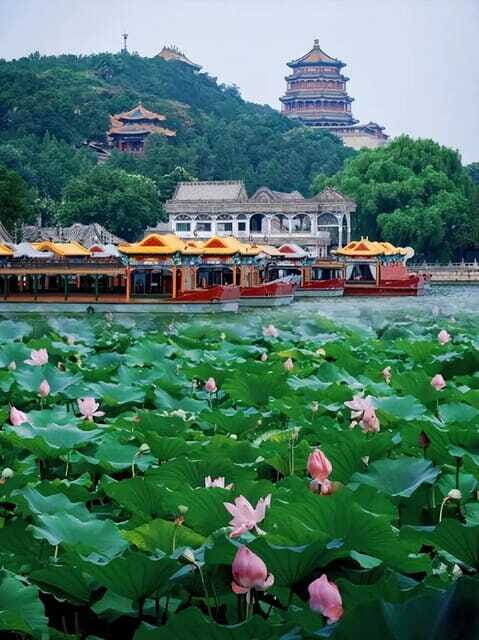 Beijing: Summer Palace Entry Ticket - The WhatsApp remote guidance (yes, it’s actually helpful)