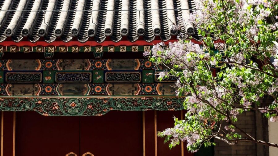 Beijing: Summer Palace Entry Ticket and E-Guide - A Realistic Day Plan: How Much Walking You Should Expect