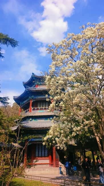 Beijing: Summer Palace Highlight Walking Tour - The big halls: Hall of Joyful Longevity and imperial lessons you can actually use