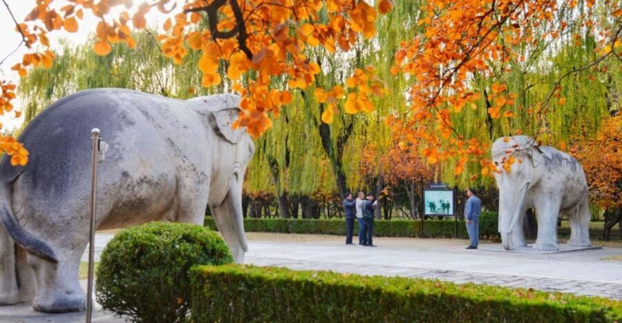 Beijing: Summer Palace, Sacred Road&Ming Tombs Private Tour - A smart 8-hour pairing: UNESCO plus real walking