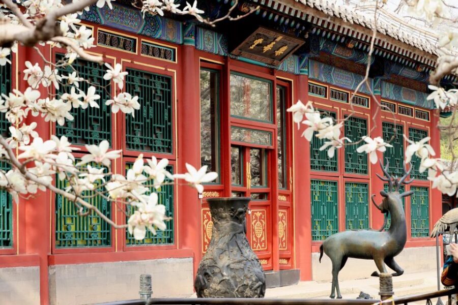 Beijing: Summer Palace, Sacred Road&Ming Tombs Private Tour - Hotel pickup and private transport: fewer headaches, more focus