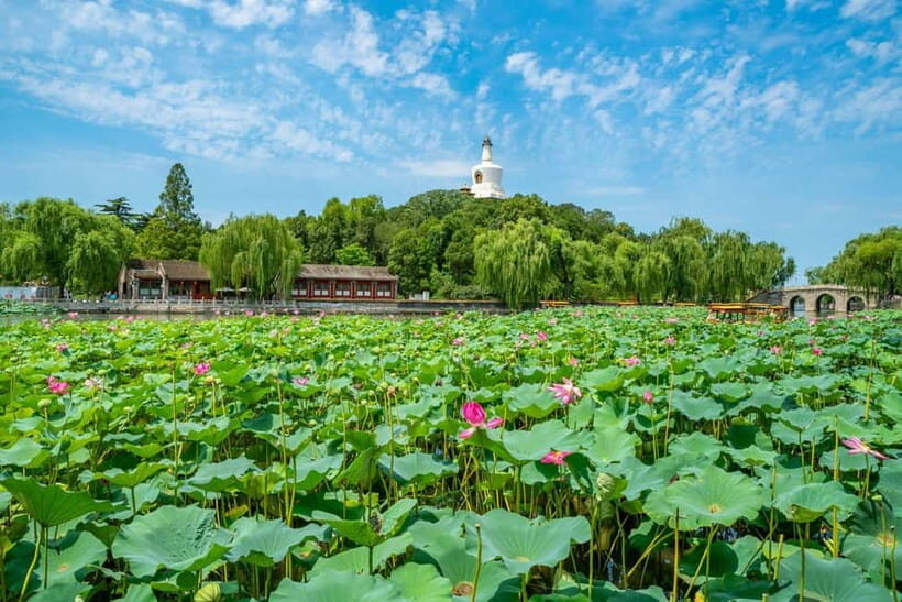 Beijing: Tiananmen Square & Forbidden City Guided Tour - Guide or PDF: what you get for choosing each style