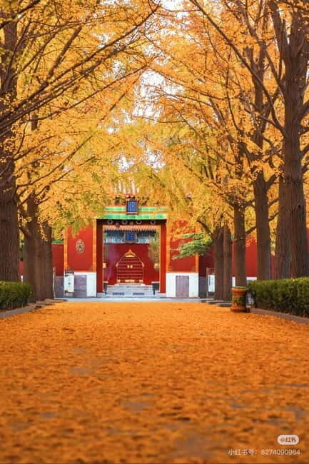Beijing: Yonghe Lama Temple Tickets with guide (optional) - Beijing’s Yonghegong Lama Temple: why this site feels worth your time