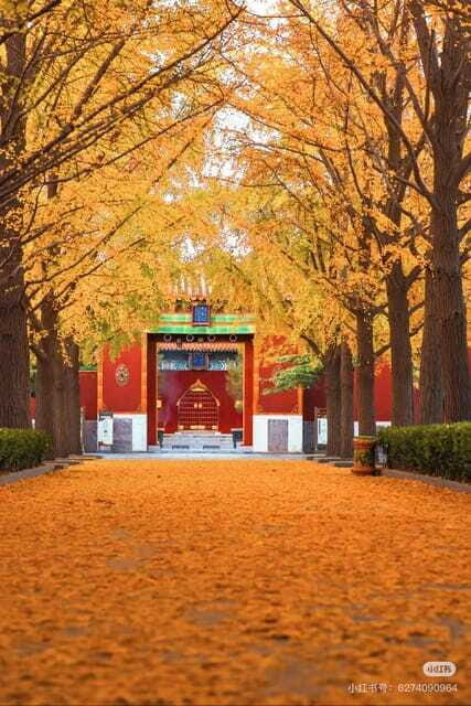 Beijing: Yonghe Lama Temple Tickets with guide (optional) - Should you book this Yonghegong Lama Temple ticket with guide?