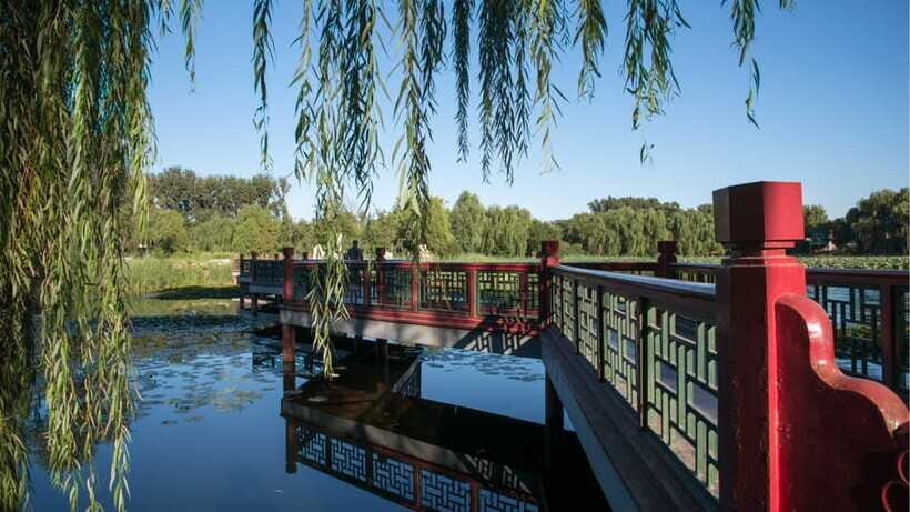 Beijing: YuanMingYuan Park (Garden of Gardens) e-Ticket - The Panda Guide Experience: Support You Can Actually Use