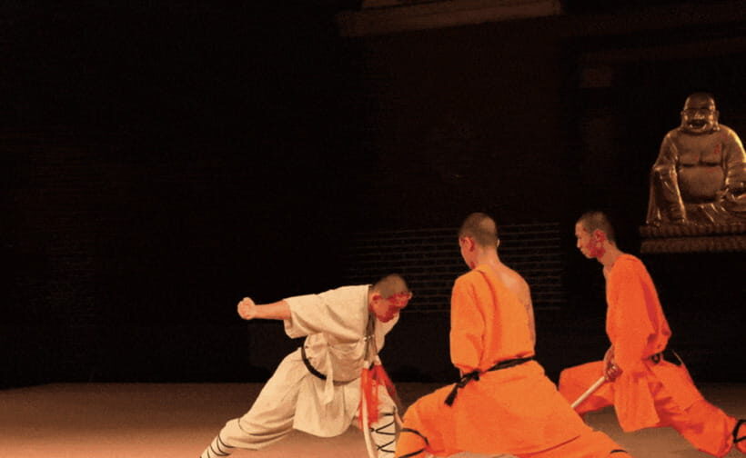 Beijing:Bullet Train Day Tour to Shaolin Temple&Martial Arts - Beijing to Zhengzhou by Bullet Train: The Real Value