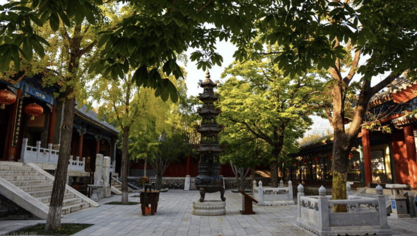 Beijing:Bullet Train Day Tour to Shaolin Temple&Martial Arts - The Pagoda Forest: The Part That Stuns on a Clear Day