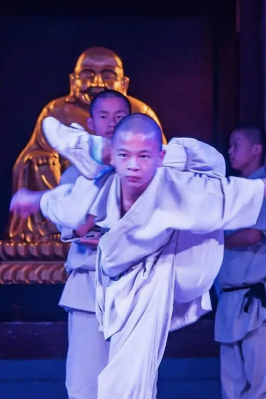 Beijing:Bullet Train Day Tour to Shaolin Temple&Martial Arts - Price and Value: Is $348 Worth It?