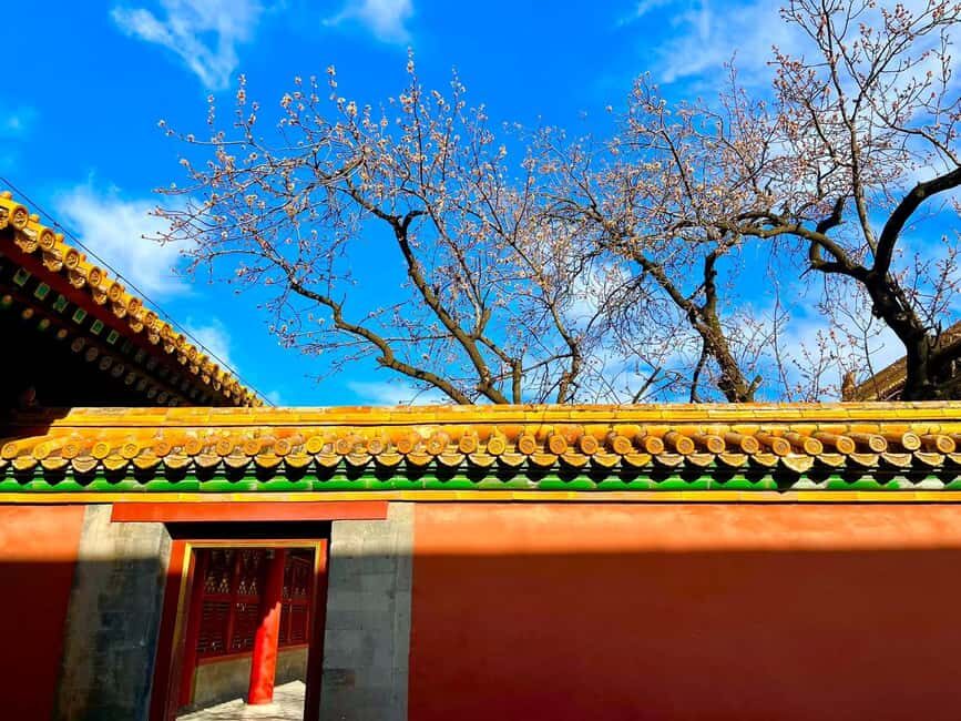 Beijing:Forbidden City Tour--Reveal Secrets Behind Red Walls - Who this tour suits best (and who should skip it)
