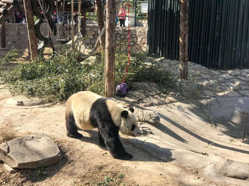 Beijing:Summer Palace Private/Group Tour or book Ticket Only - Summer Palace Layout: Political Center, Living Quarters, and the Garden That Wins