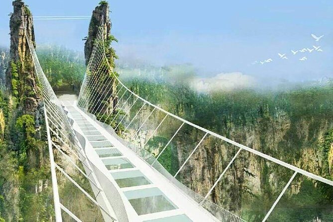 Best Mini Group to Zhangjiajie Forest Park & Avatar Mountains - Why Zhangjiajie Forest Park feels like a movie set