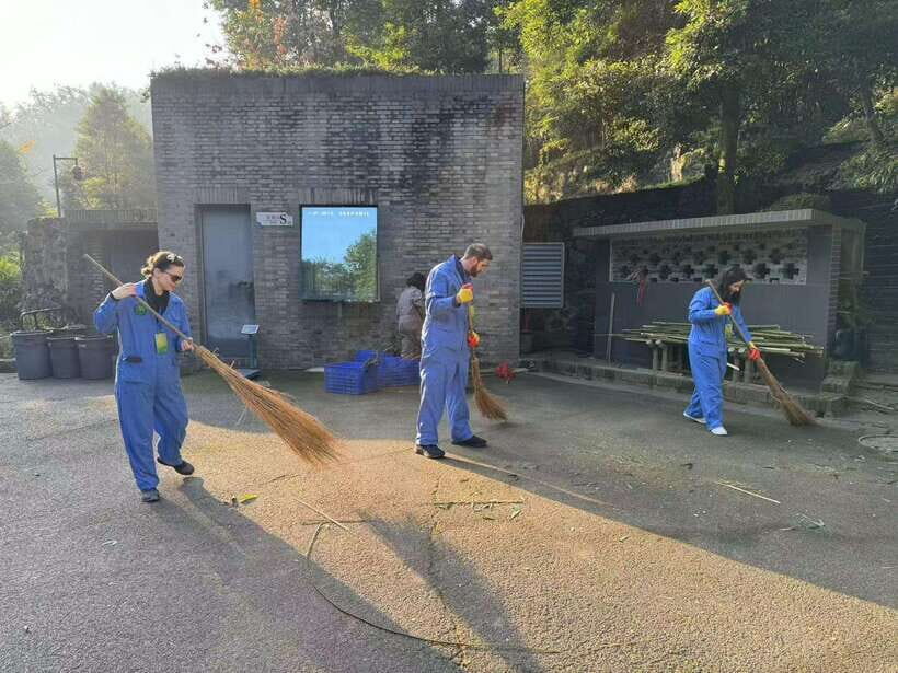 Chengdu: Dujiangyan Panda Base Volunteering Day Trip - Key things I’d circle before you book