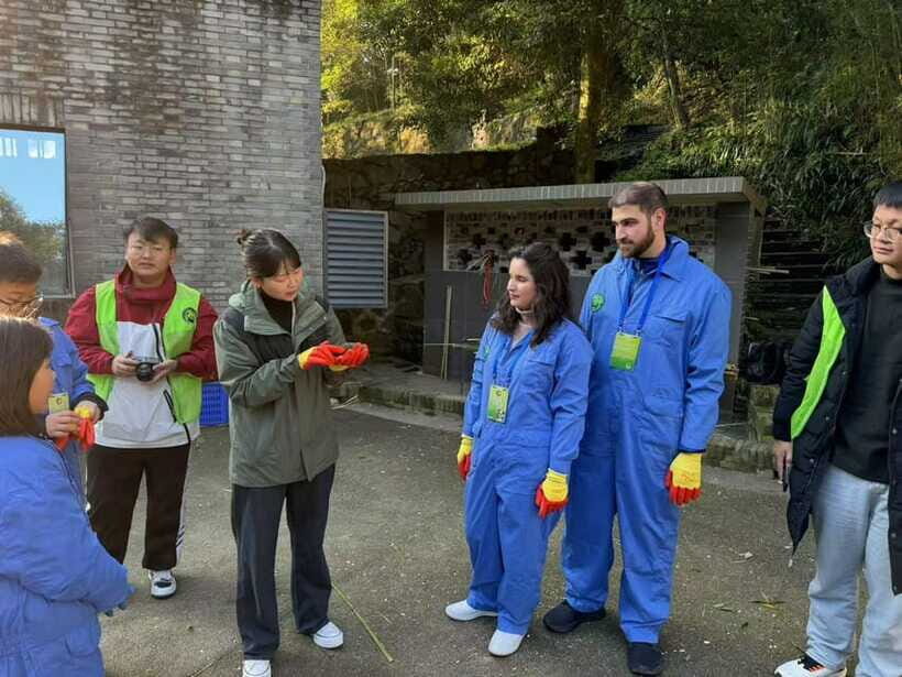 Chengdu: Dujiangyan Panda Base Volunteering Day Trip - Lunch at the staff canteen and the panda documentary break