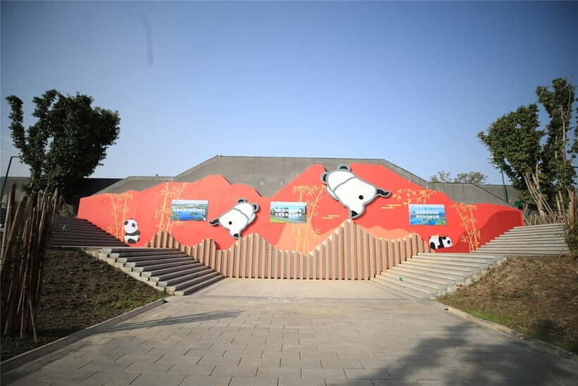 Chengdu: Half-Day Panda Base Tour with Guide Option - Who this tour is best for (and who might want to reconsider)