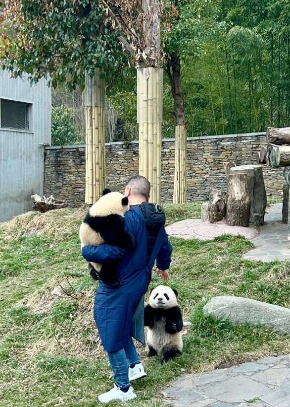 Chengdu: Hidden Wonders Day Tour with Wolong Panda Base - Price and Value: Is $159 Worth It?