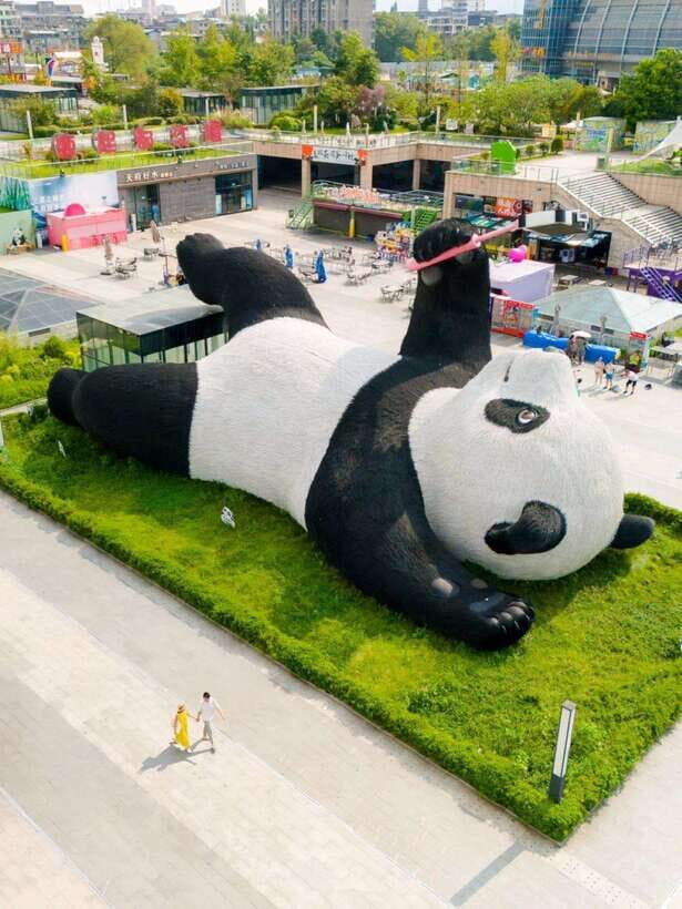 Chengdu: Hidden Wonders Day Tour with Wolong Panda Base - Wolong Panda Base: Semi-Wild Pandas and a Morning Feeding Session