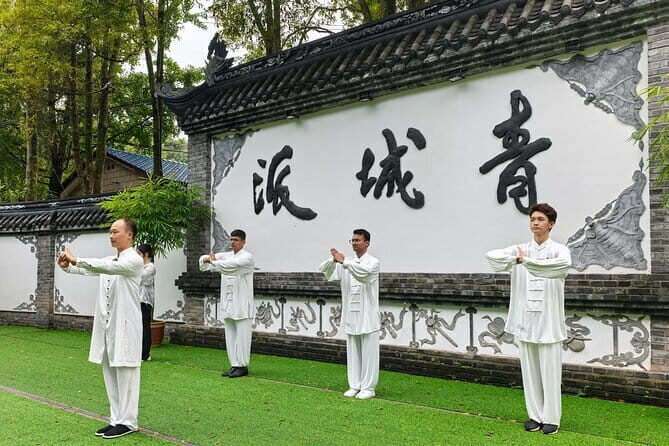 Chengdu Kung Fu Panda Tour Tai Chi, Martial Arts and Panda Base - Mount Qingcheng: Tai Chi on a UNESCO-era martial stage