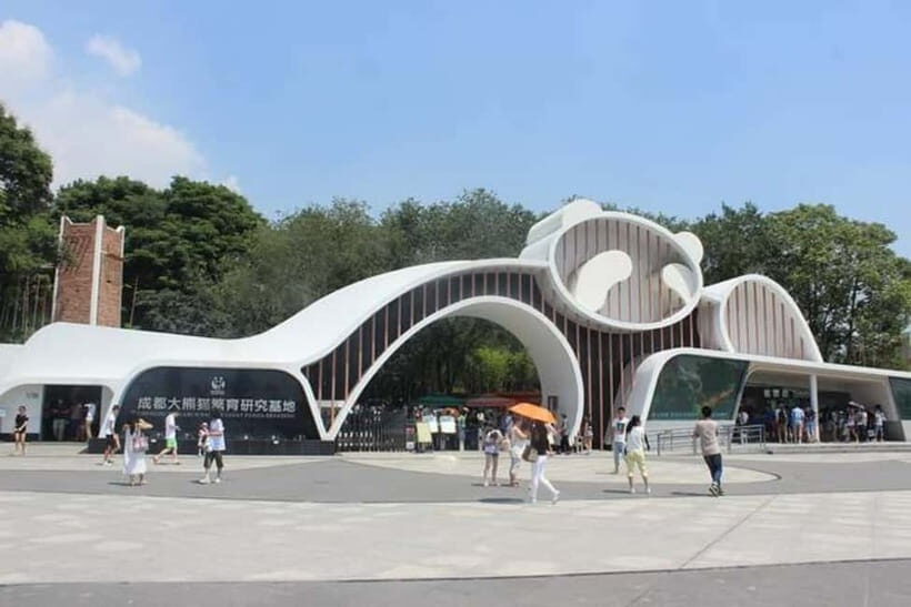 Chengdu Panda Base and Dujiangyan One-Day Private Tour - Chengdu Panda Base: what you’ll actually do for 4 hours