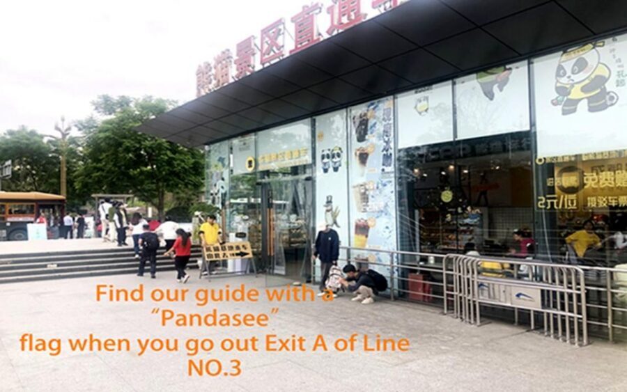 Chengdu panda base half day tour - Your Guide Makes the Base Feel Smaller (Even When It Isn’t)