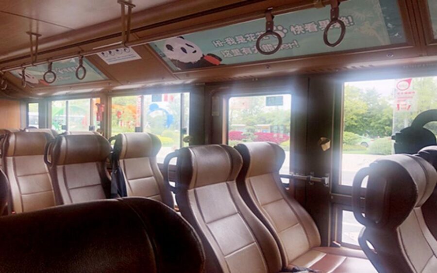 Chengdu panda base half day tour - The Special Route: How You See More Without Feeling Like You’re Racing