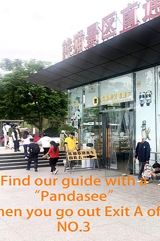 Chengdu panda base half day tour - Getting There: The Simple Metro Bus Ride (No Hotel Transfer Headache)