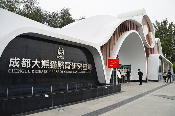Chengdu Panda Breeding Base Ticket w/ Optional Transfer or Guide - Choosing Between Panda-Only and the Leshan Buddha Add-On