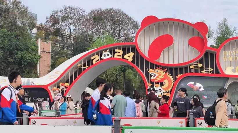 Chengdu: Panda Breeding Base Tickets Booking - Your half-day self-guided flow inside the base (about 4 hours total)