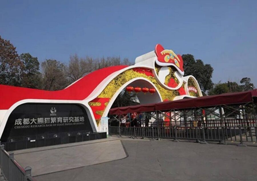 Chengdu panda & Leshan Buddha One Day Private Tour - Lunch in Chengdu: A Break That Doesn’t Blow Up Your Schedule
