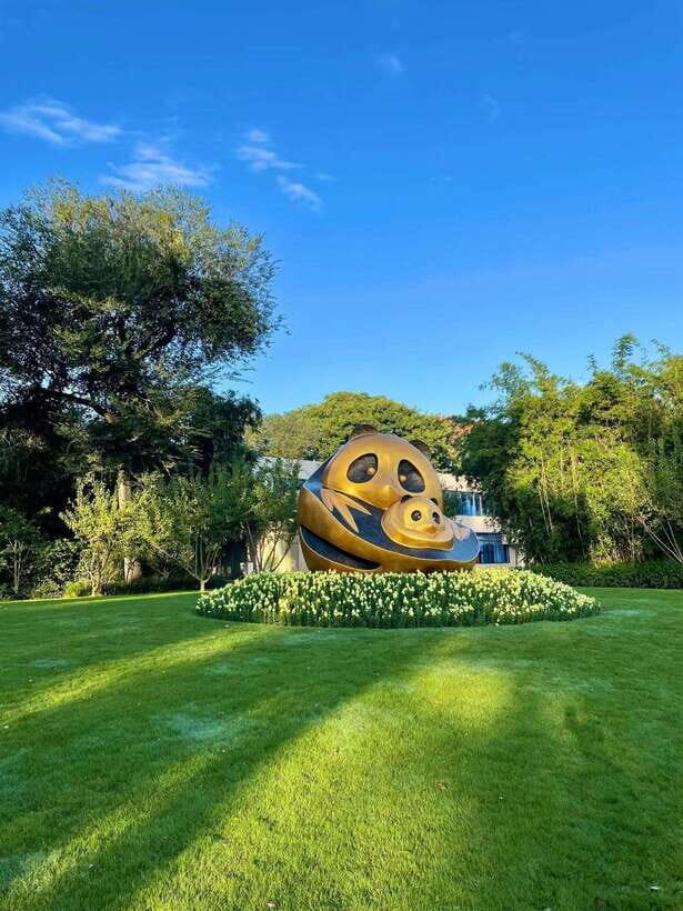Chengdu: Panda Research Base Ticket or Private Transfer Tour - Key things to know before you go