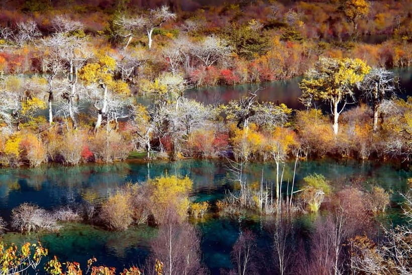 Chengdu: private 2-Day Huanglong Jiuzhaigou tour by train - English Support and the Practical Reality of Private Drivers