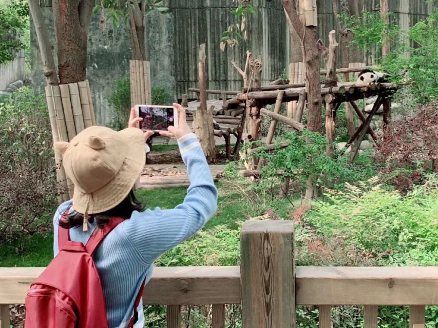 Chengdu: Private Panda Base Tour with 80 Pandas - What You’ll Learn About Panda Conservation (And Why It’s Not Just Feel-Good)