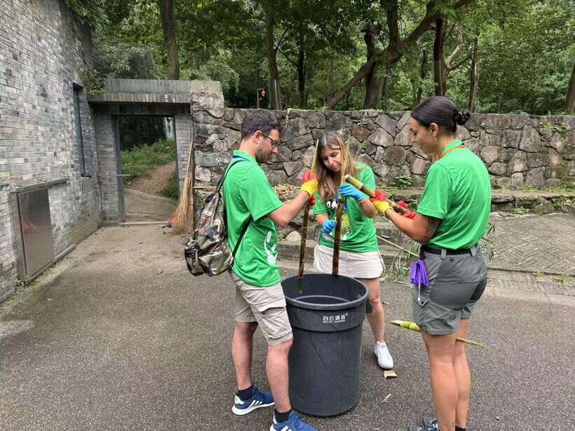Chengdu: Volunteer Day Experience at Dujiangyan Panda base - Key Things That Make This Volunteer Day Worth It