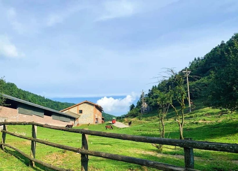 Chongqing One-Day Trip: Wulong's 3 Essentials - Price and Value: Is $299 Fair for a Private 8-Hour Day?