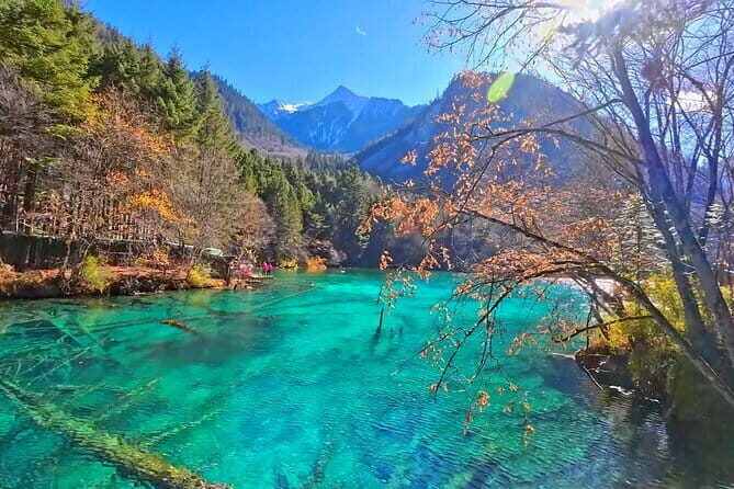 Classic 3-Day Jiuzhaigou Private Tour(Transportation+Tickets) - Key things I’d watch before you book