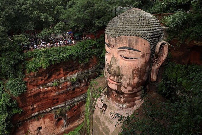 Day tour Chengdu Panda Base Leshan Giant Buddha with local Lunch - Should you book the Chengdu Panda Base and Leshan Giant Buddha tour?