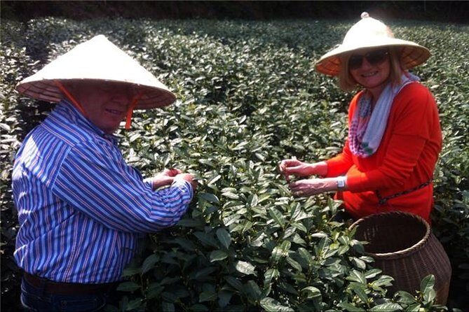 Day Tour to Discover the Secrets of Hangzhou's Tea Culture - Stop 2: China National Tea Museum and the How-Things-Work Story