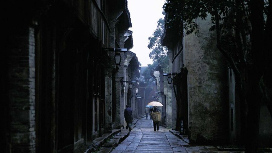 Delve into Wuzhen Water Town: Private Tour from Shanghai - Sunset walking and golden-hour photos: timing your pace