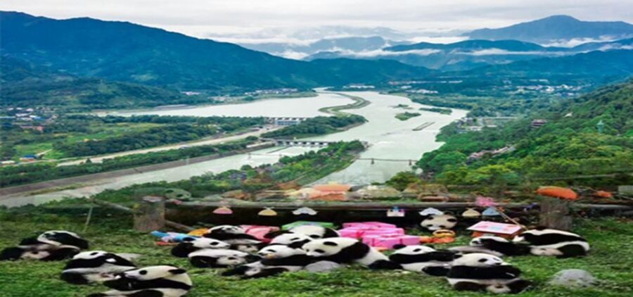 Dujiangyan panda base and irrigation system park day tour - How the private driver-and-car format changes the day